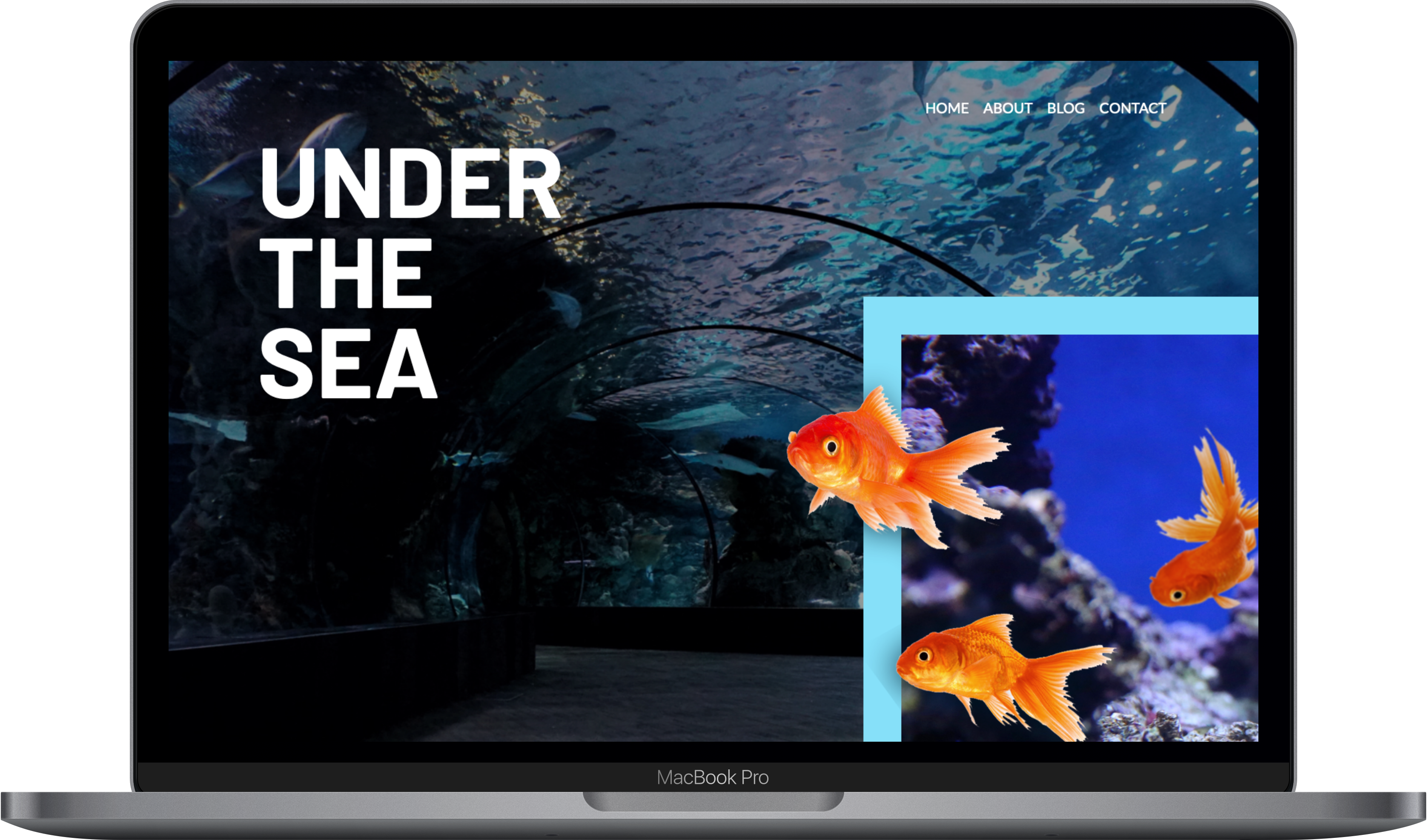 image of under the sea project